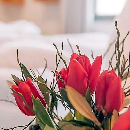 Biohotel Kunstquartier Szálloda 4*