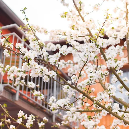 Biohotel Kunstquartier Hotel