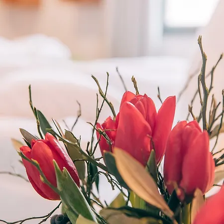 Biohotel Kunstquartier Hotel