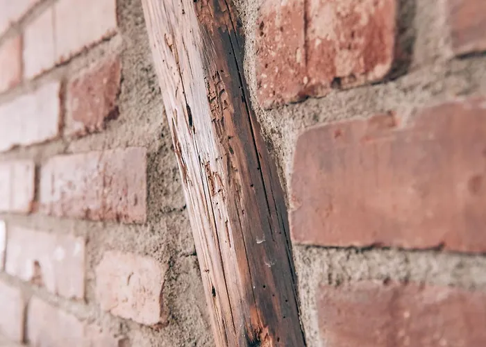 Biohotel Kunstquartier