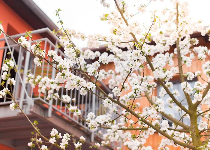 Biohotel Kunstquartier Hotel