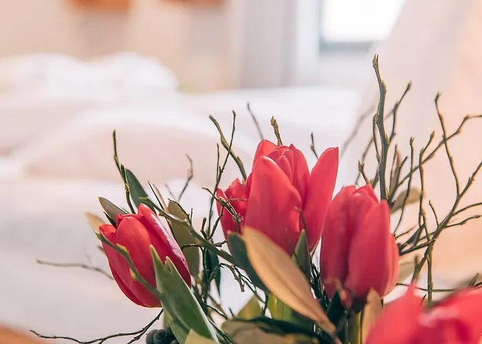 Biohotel Kunstquartier Hotel